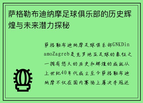 萨格勒布迪纳摩足球俱乐部的历史辉煌与未来潜力探秘