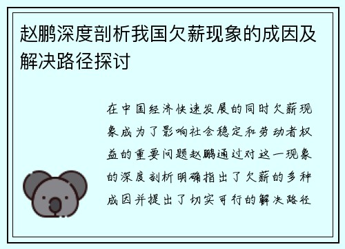 赵鹏深度剖析我国欠薪现象的成因及解决路径探讨